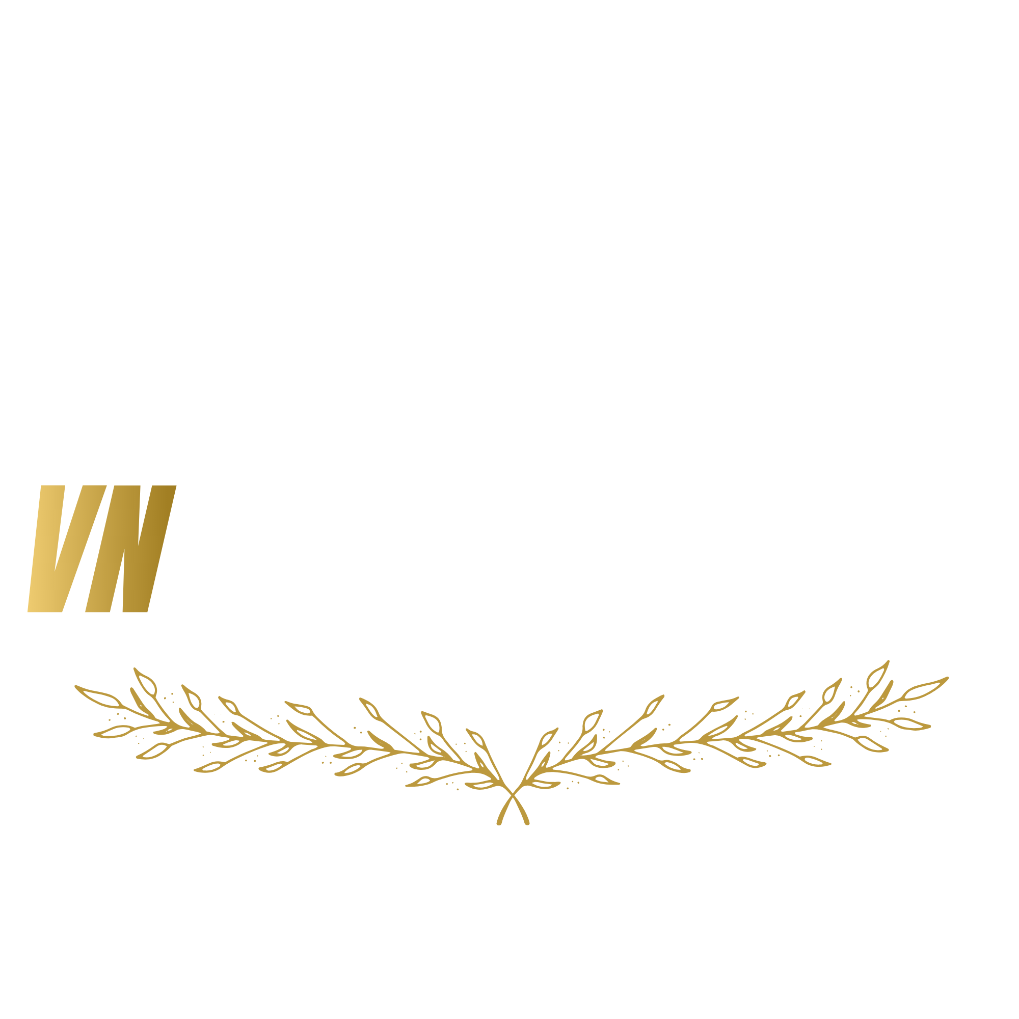 VN Premium Cars